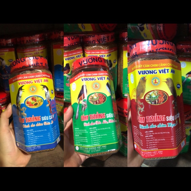 Cám vương việt anh chào mào , than lửa , hoạ mi , khuớu 500g