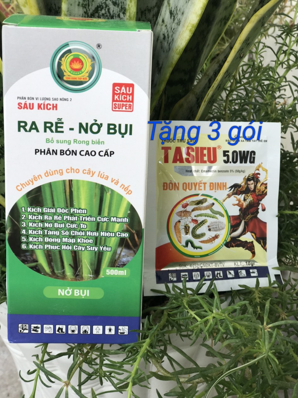 sáu kích super ra rễ nở bụi 50ml