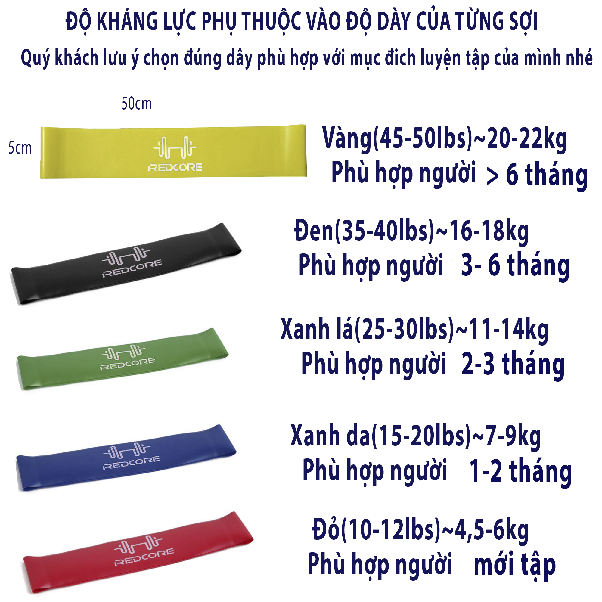 Dây Kháng Lực, Bộ 6 Dây Mini Band Cao Su Kháng Lực Tập Gym Yoga Chân Mông Aolikes AL3601 Nhà TXsport