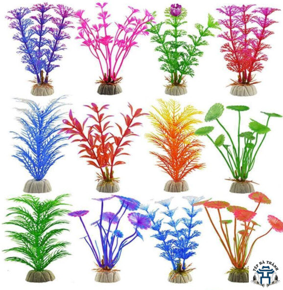 Cây nhựa trang trí bể cá cảnh