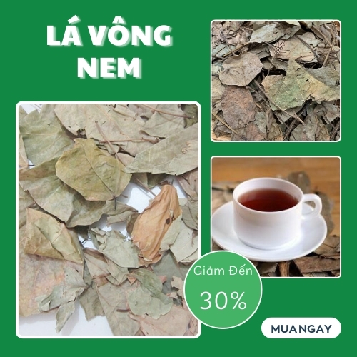 [Hàng mới về] Lá vông nem sấy khô 500g - Thảo Dược Tấn Phát - Trà ngon bổ dưỡng