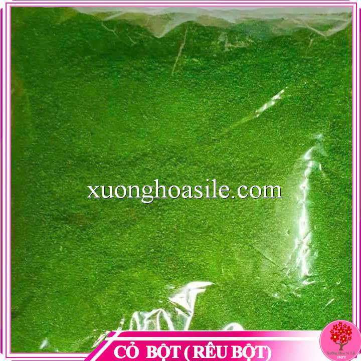 BỊCH TO CỎ BỘT RÊU BỘT TRANG TRÍ CHẬU CẢNH 900GR