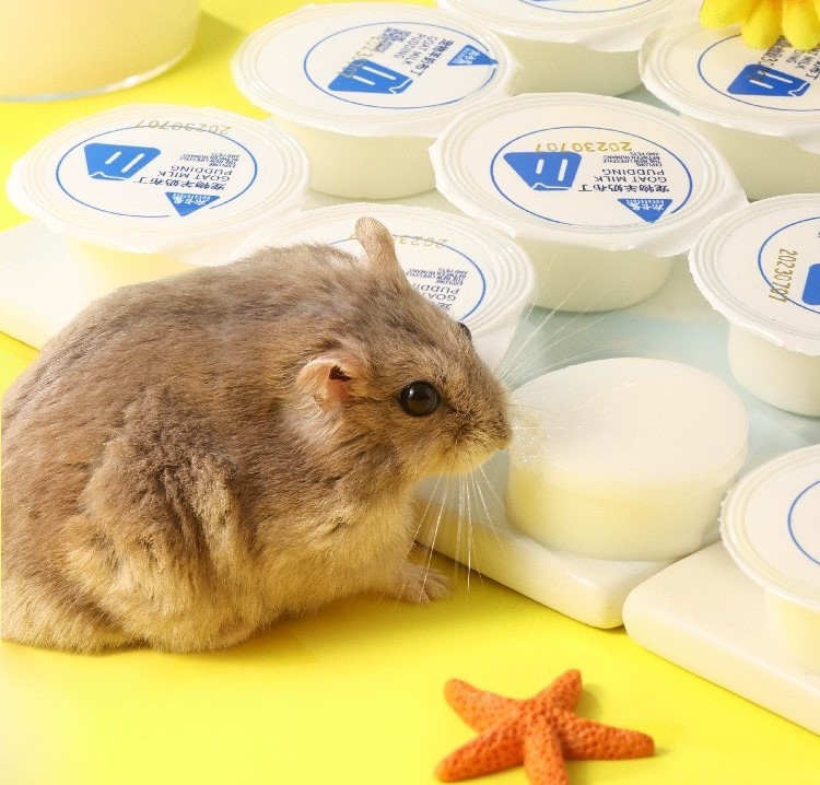 pudding sữa dê cho hamster , sóc, nhím, thỏ, bọ