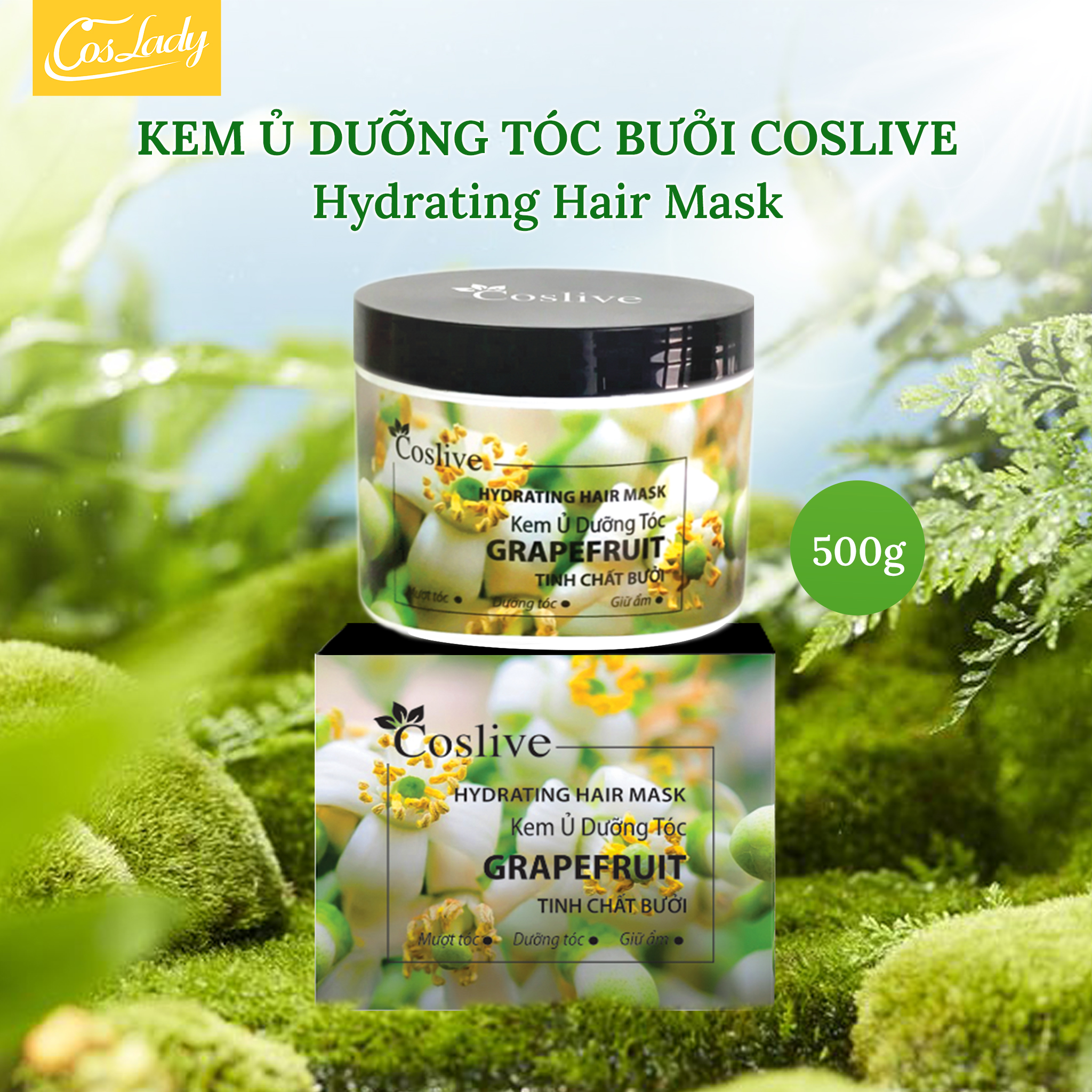 KEM Ủ DƯỠNG TÓC BƯỞI COSLIVE 500G
