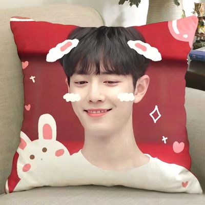 [Có sẵn] Gối ôm Tiêu Chiến Xiao Zhan 35*35cm