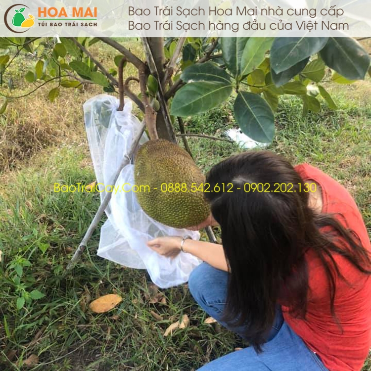 Bao mít lưới mùng trơn 50x70cm ( 100 cái )