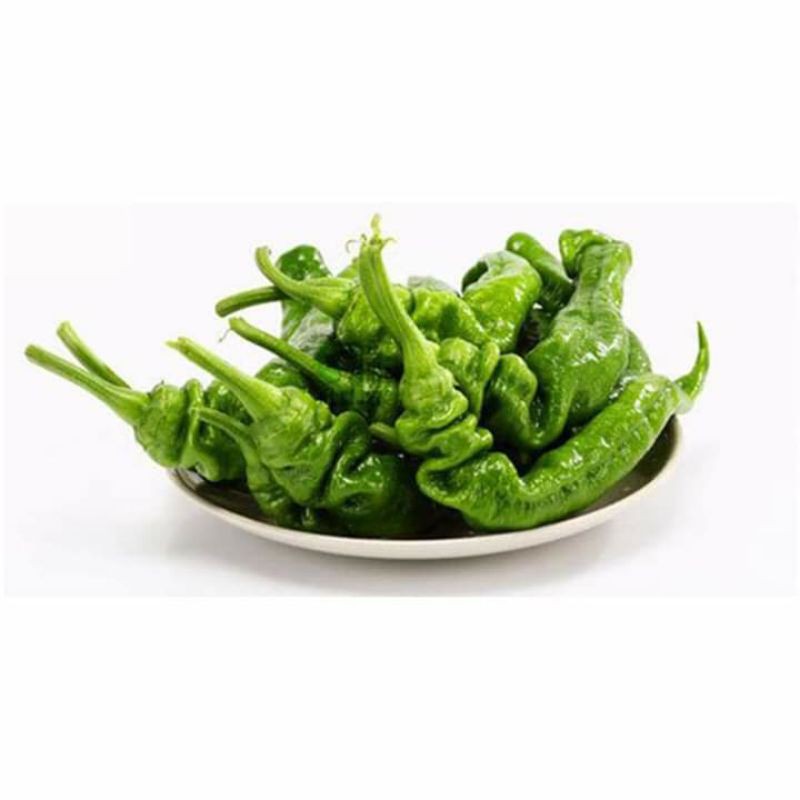 50H - Hạt giống Ớt Cá Ngựa Nhập Khẩu