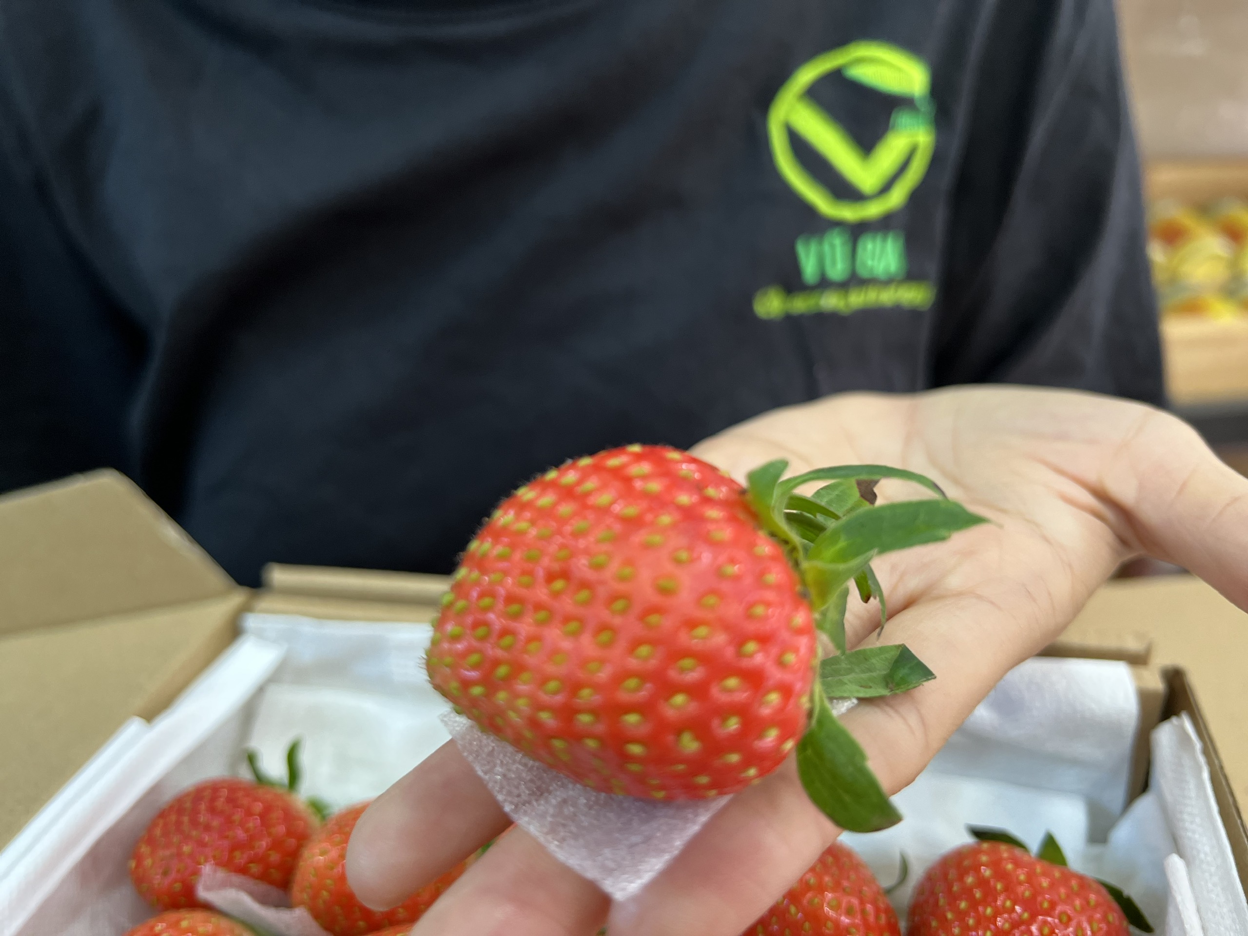VG FARM Dâu Nhật Sky Đà Lạt Size 36 (200G/500G/1KG)