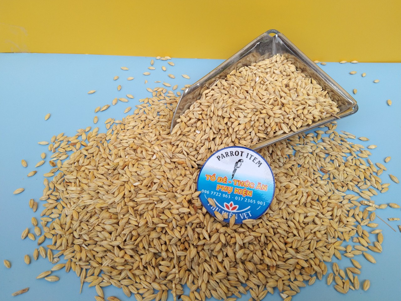 HẠT ĐẠI MẠCH CHO CHIM,VẸT