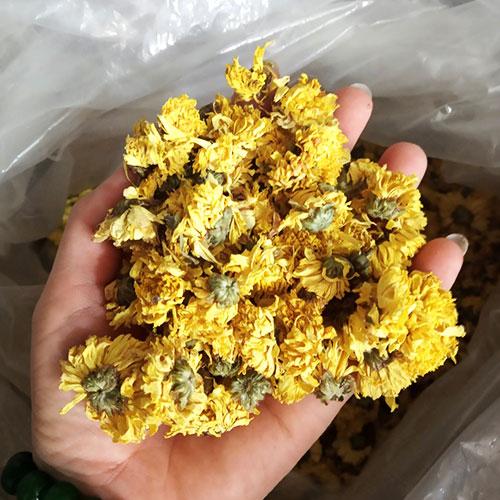 cúc bông phơi khô túi 1kg