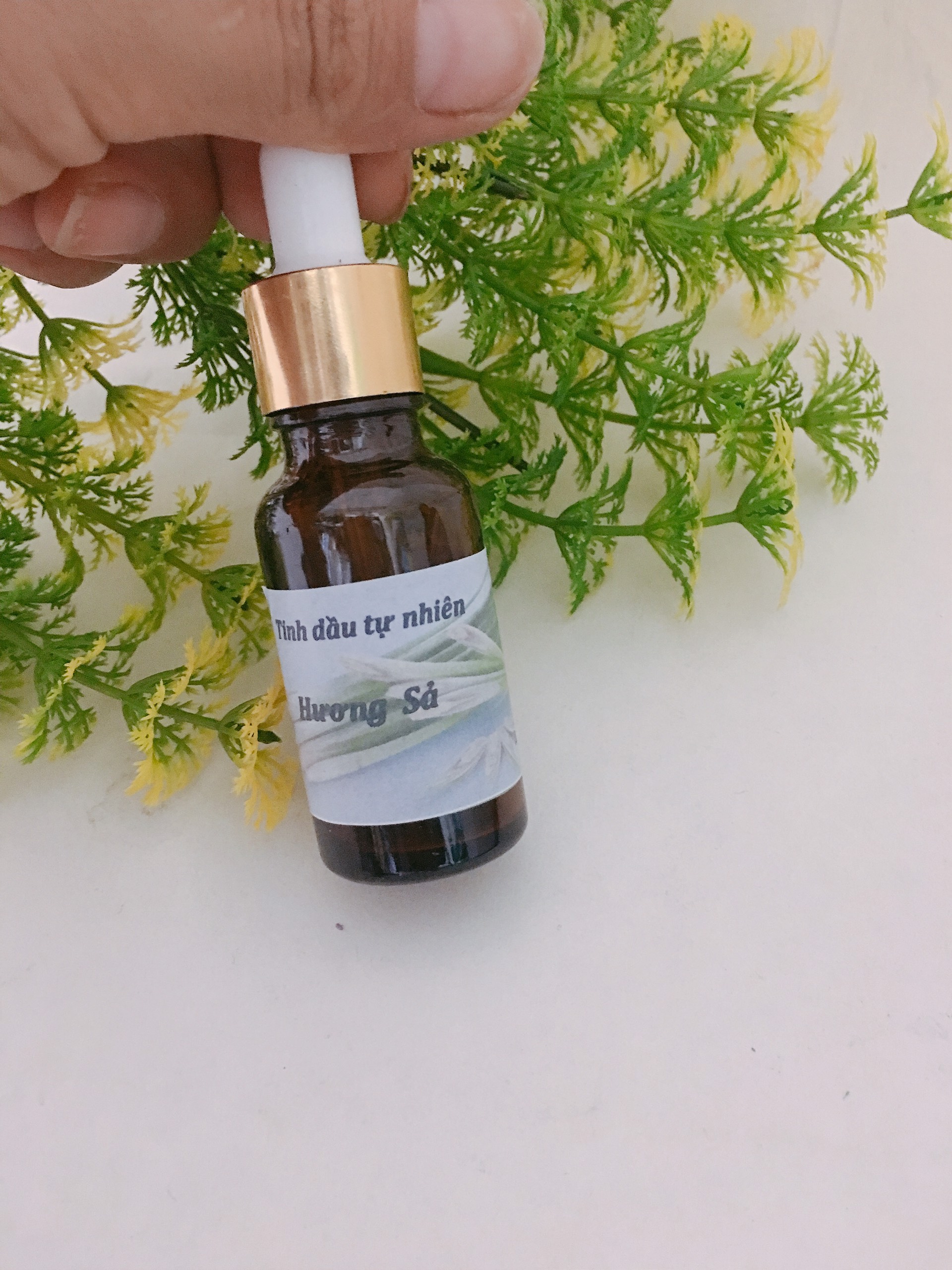 Tinh dầu xông phòng hương Sả Java nguyên chất lọ 10ml