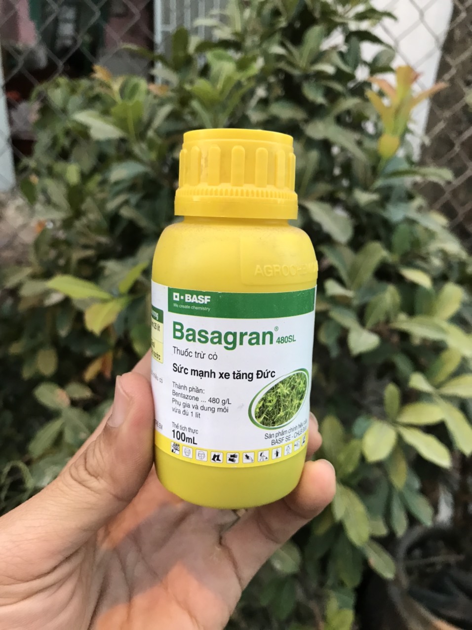 đặc tri cỏ cháo chác cỏ lá rộng Basagran.thaihoa