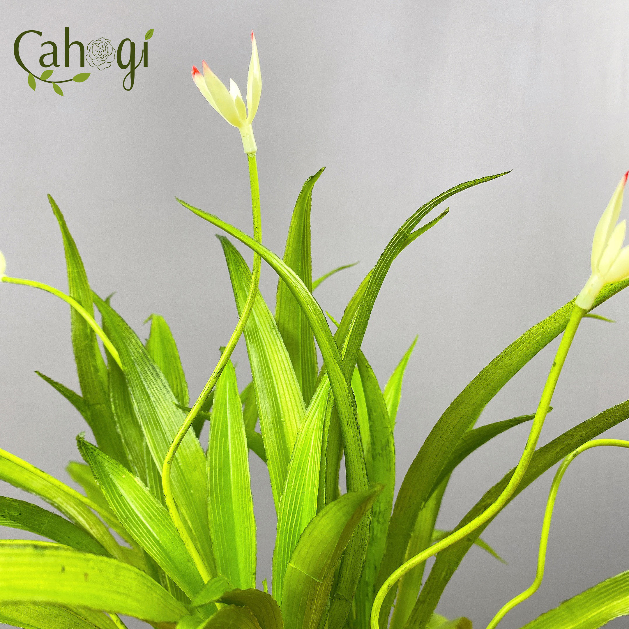 Cây Giả Cây Lan Chi 2 Nụ