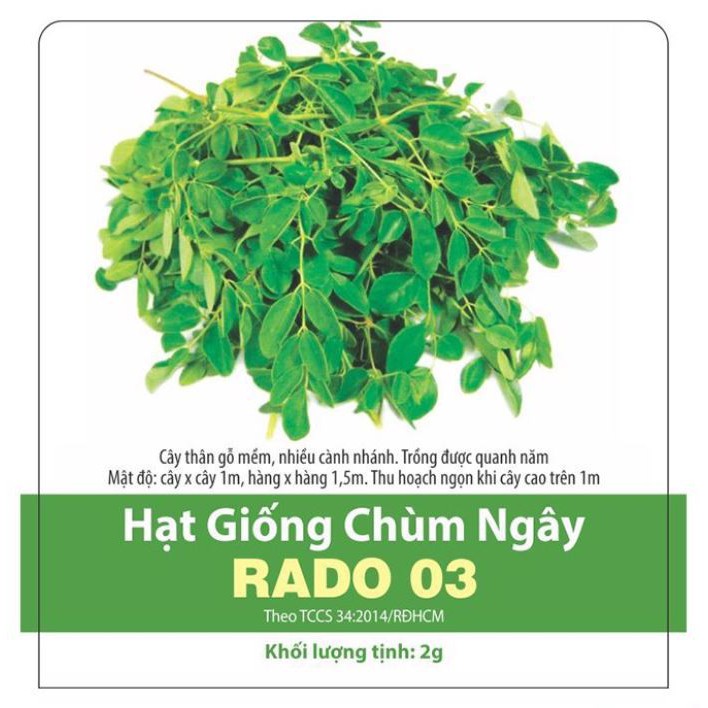 Hạt giống Chùm ngây(2g)