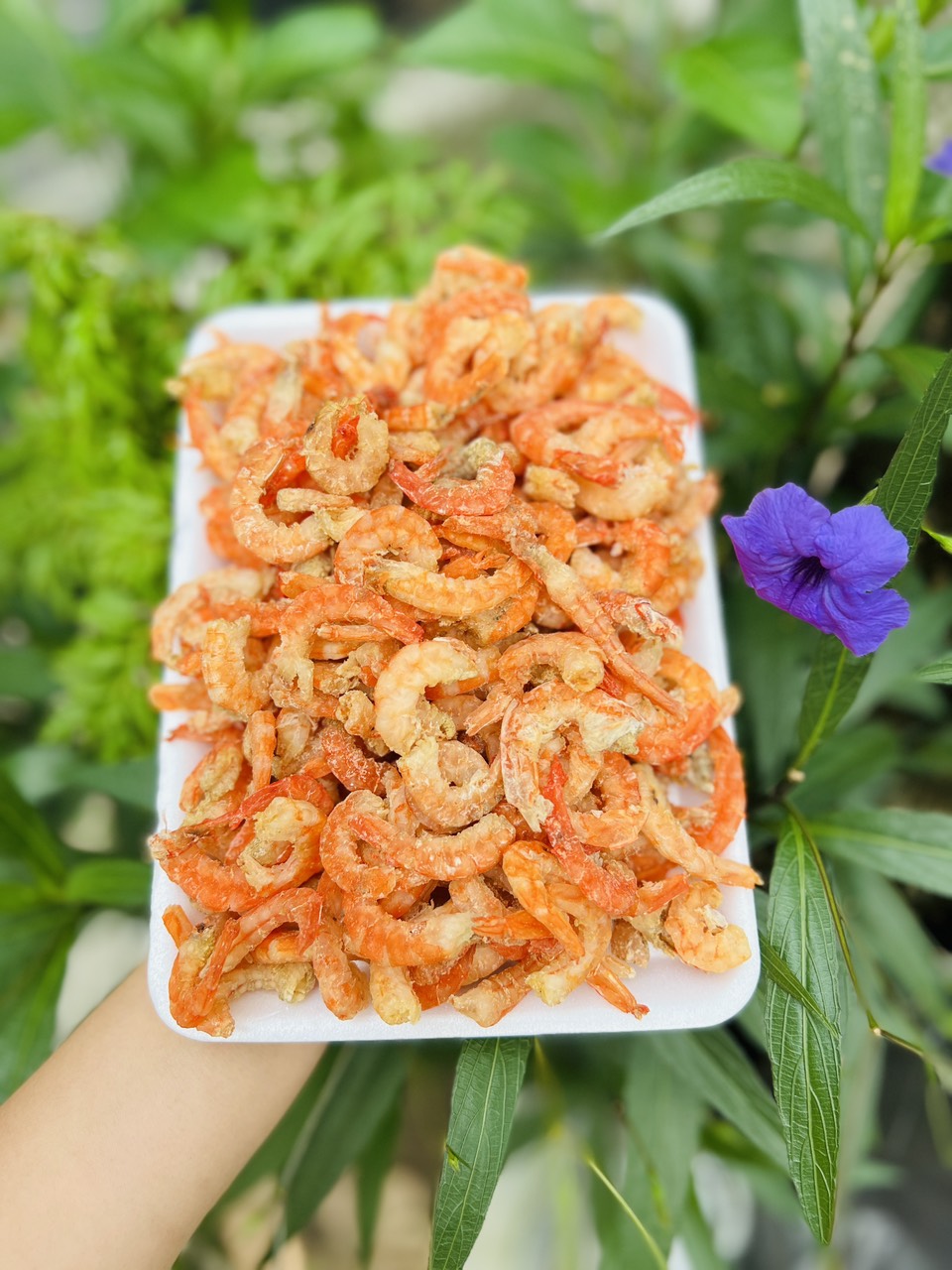 [GIAO NHANH 2H HCM] Giá Sỉ 1Kg Tôm thẻ khô size vừa