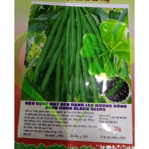 Hạt giống đậu Cove hạt đen dạng leo - gói 20 gram