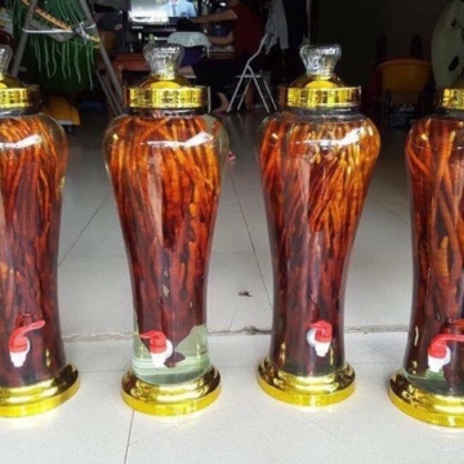 Sỉ toàn quốc 1kg nấm linh chi sừng hươu