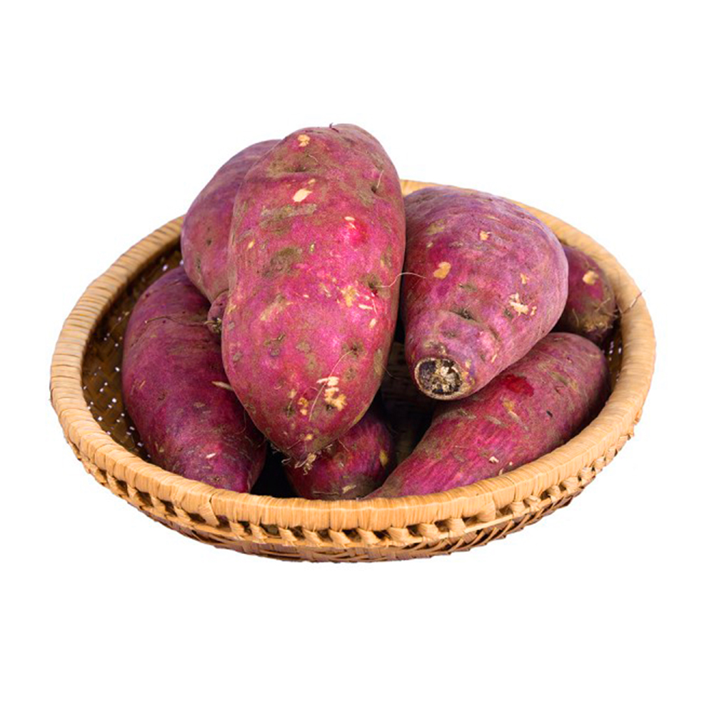 Khoai lang Nhật
