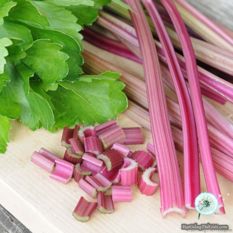 Combo 2 gói hạt giống rau cần cây ( 1 gói đỏ + 1 gói xanh )