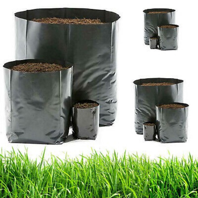 Túi bầu ươm cây 6x18cm giá rẻ