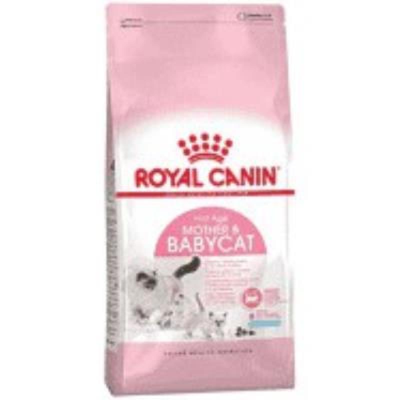 Thức ăn cho mèo mẹ và mèo con tập ăn Royal Canin Mother and BabyCat túi 2KG