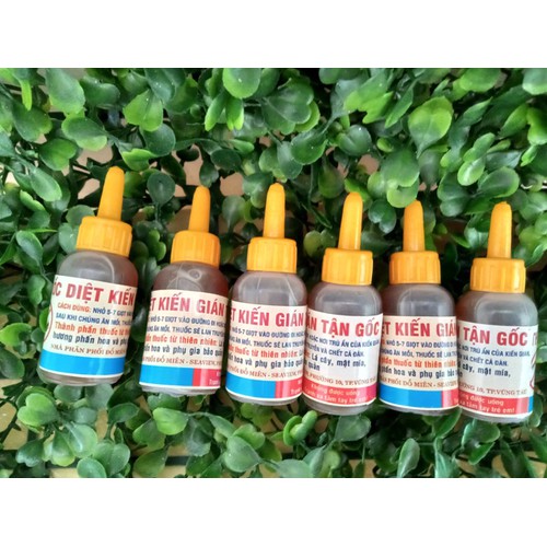 Lọ diệt kiến sinh học an toàn [Set 5 Lọ]