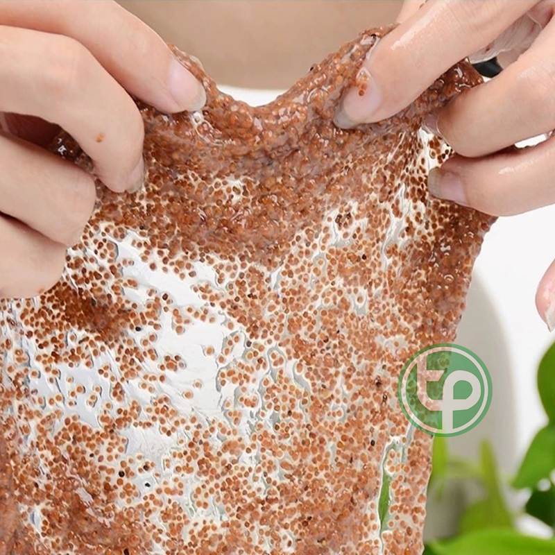 [HOT] Hạt đình lịch (hạt ngũ hoa) 100gr - Thảo Dược Tấn Phát