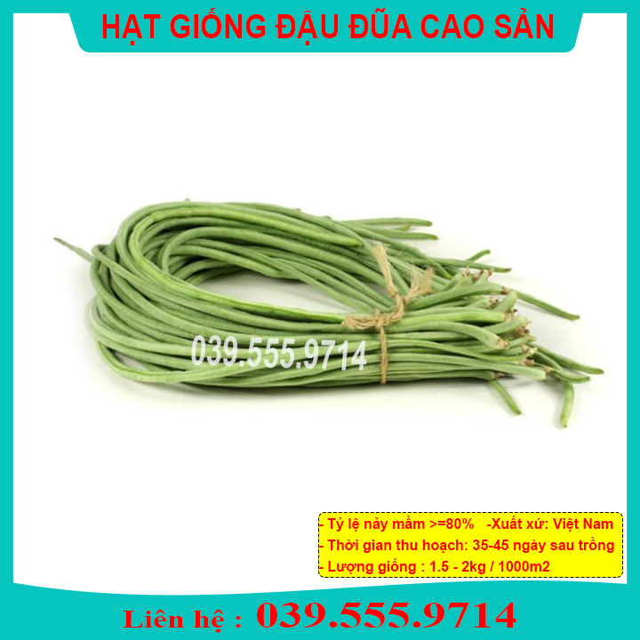[Chính hãng] Hạt giống Đậu Đũa Cao Sản Số 9 (VA.009) 20gram