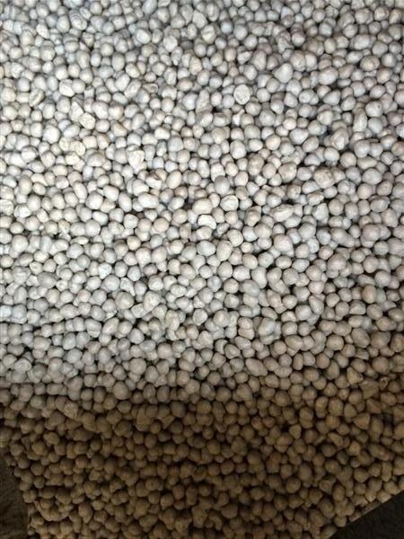PHÂN CHÌ tan chậm Nhật Bản 1kg