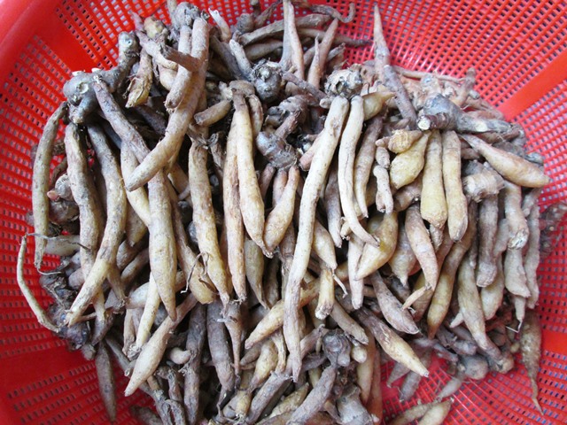 Củ Ngải Bún Tươi 500gram