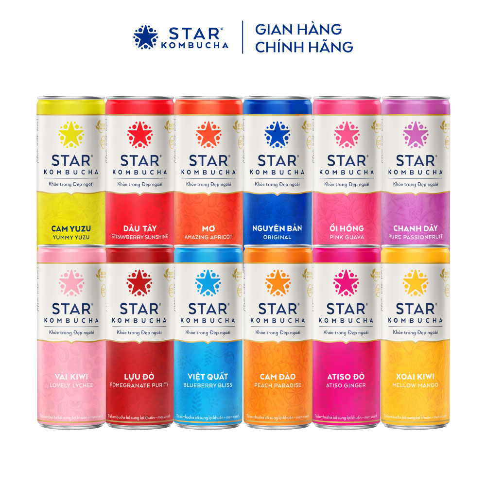 Thùng 12 lon trà lên men STAR KOMBUCHA mix 6 vị (250ml/lon)