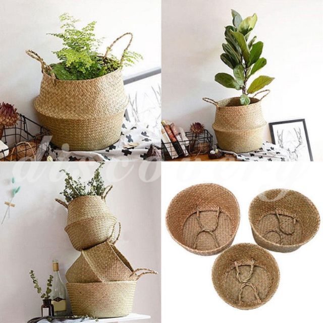 Giỏ cói trồng cây