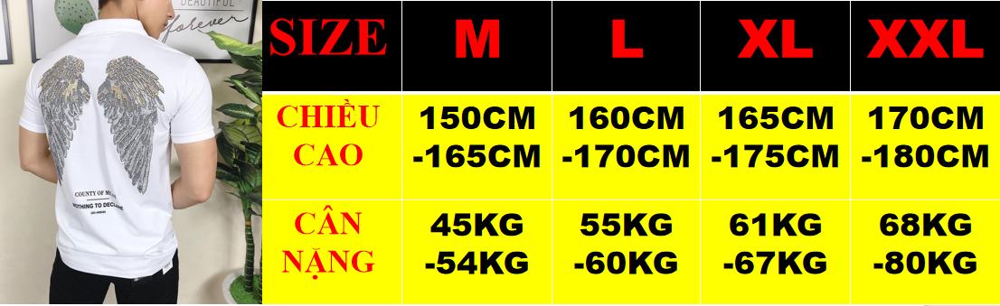 [HCM]Áo thun nam in kim sa đôi cánh cực đẹp