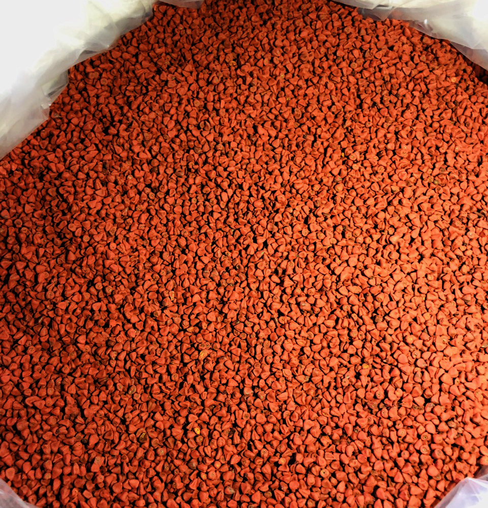 [HCM]Hạt Điều Màu - Hạt cari 500g (Annatto Seed)