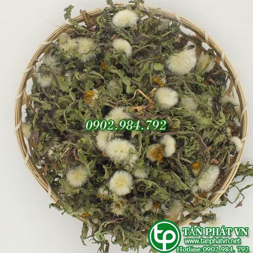 Bồ công anh khô 1kg