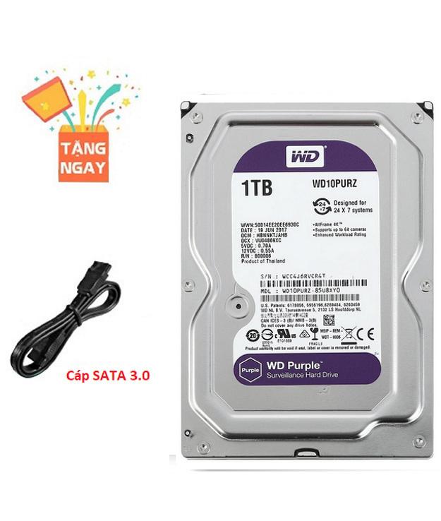 Ổ cứng HDD 1TB (1000GB) / 2TB ( 2000GB) / 3TB ( 3000GB) Western Tím - Tặng cáp sata 3.0. Bảo hành 24 tháng