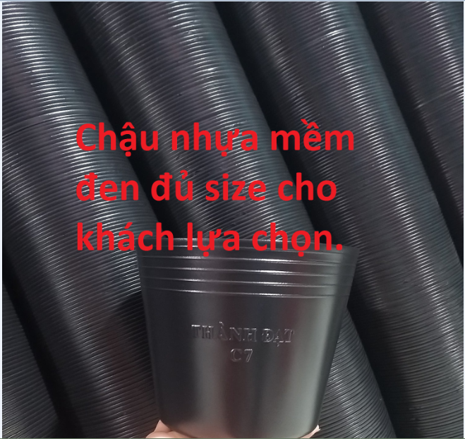 Chậu nhựa mềm đen thành đạt nhiều size ( bộ 10 chậu )