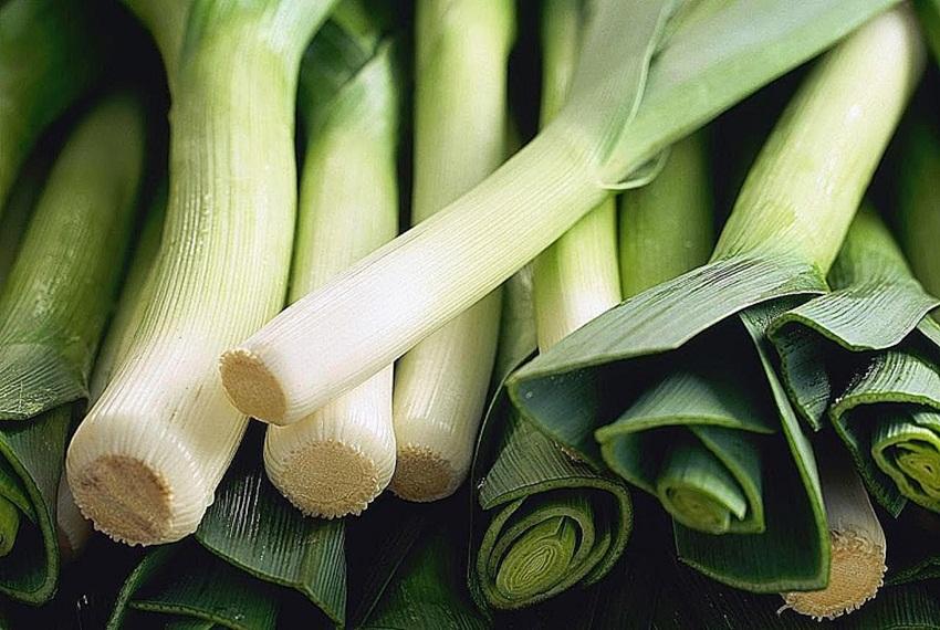 Hạt giống rau tỏi tây