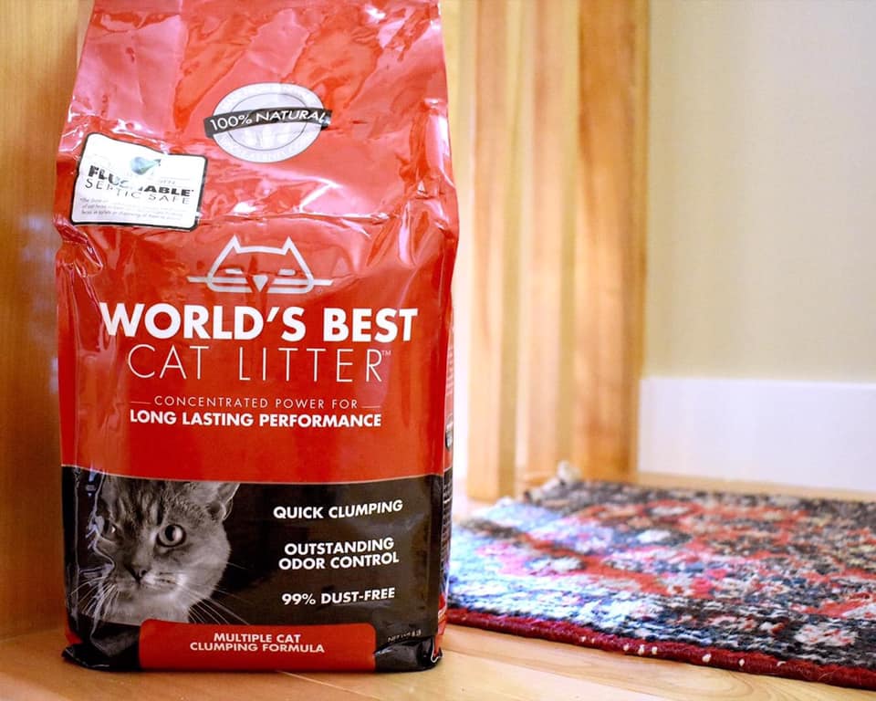 WORLD'S BEST sand for cat cleaning