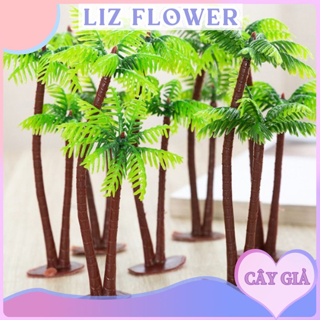 Cây dừa cảnh mini trang trí cực cute liz79