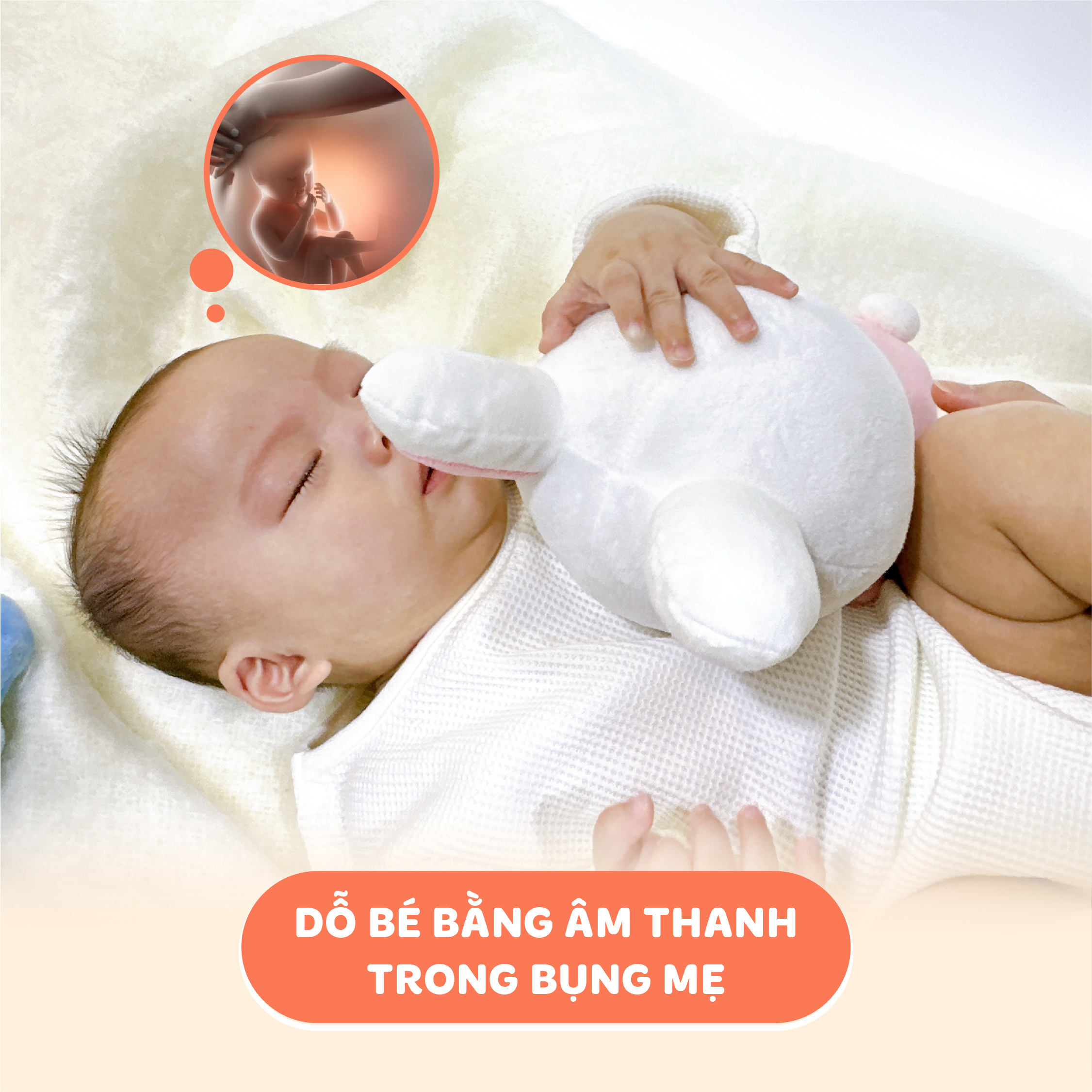 Gấu Malo cảm biến tiếng khóc và dỗ bé Combi