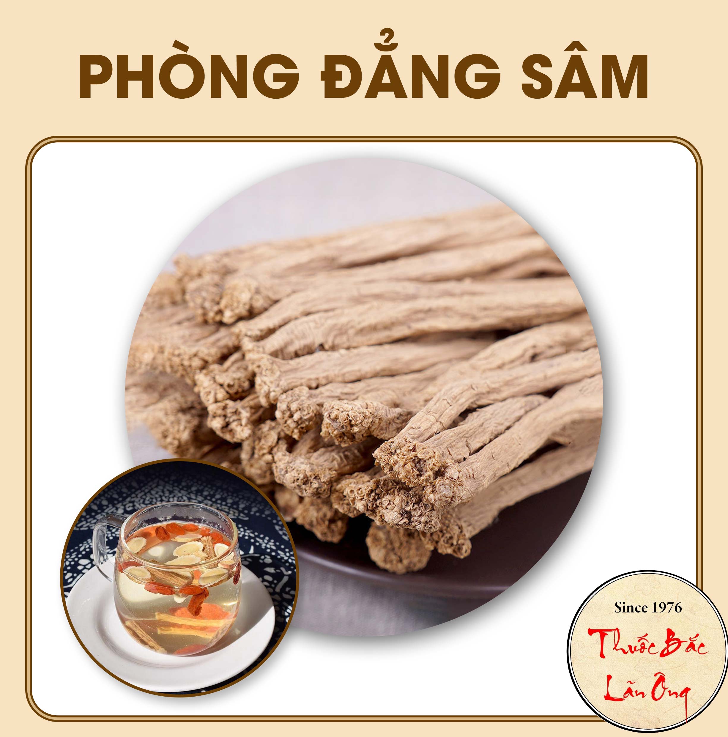 Phòng đẳng sâm 100g, cọng to, thơm, già - Lãn Ông