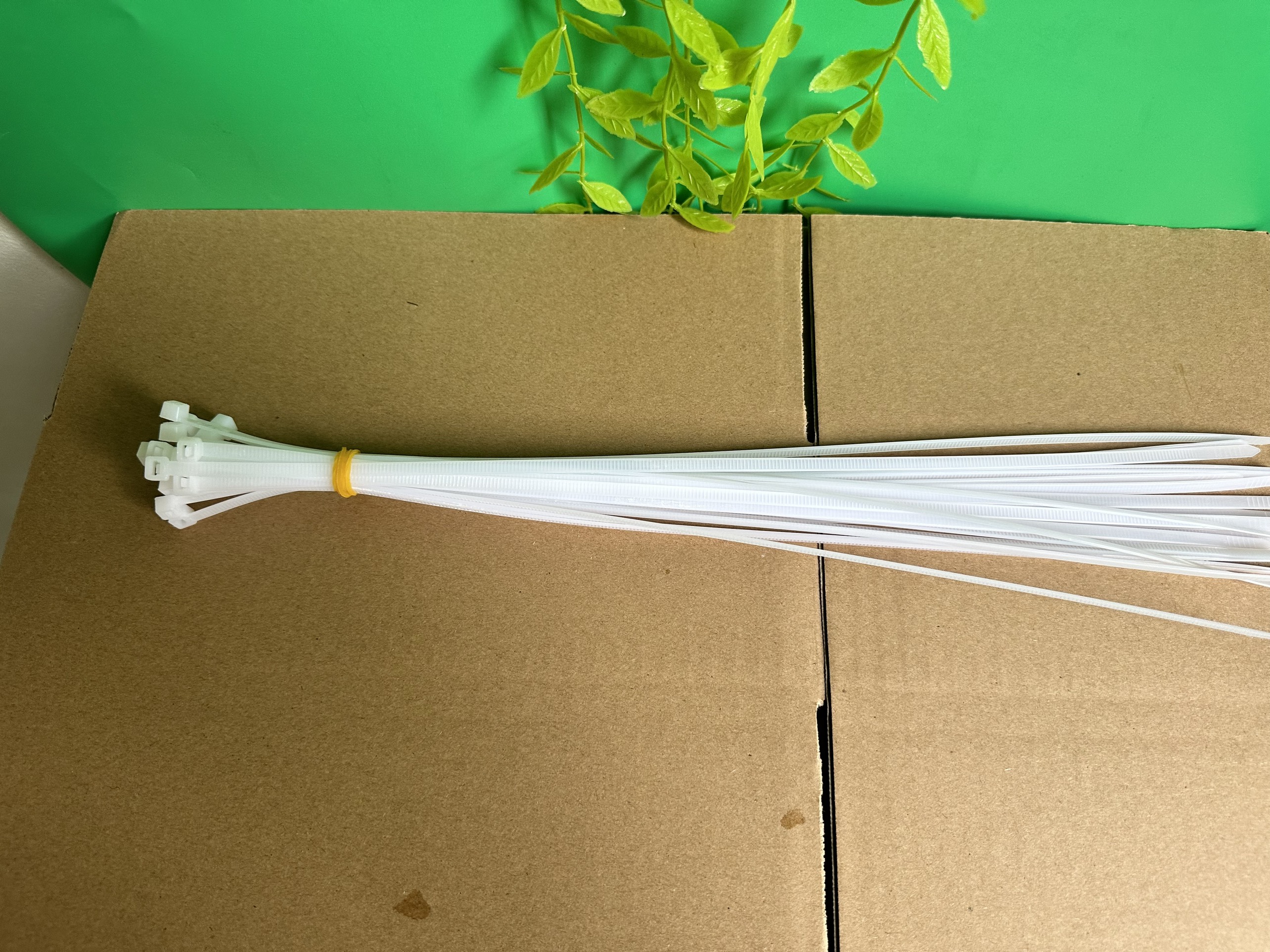 50g Dây rút, dây thít nhựa buộc lan