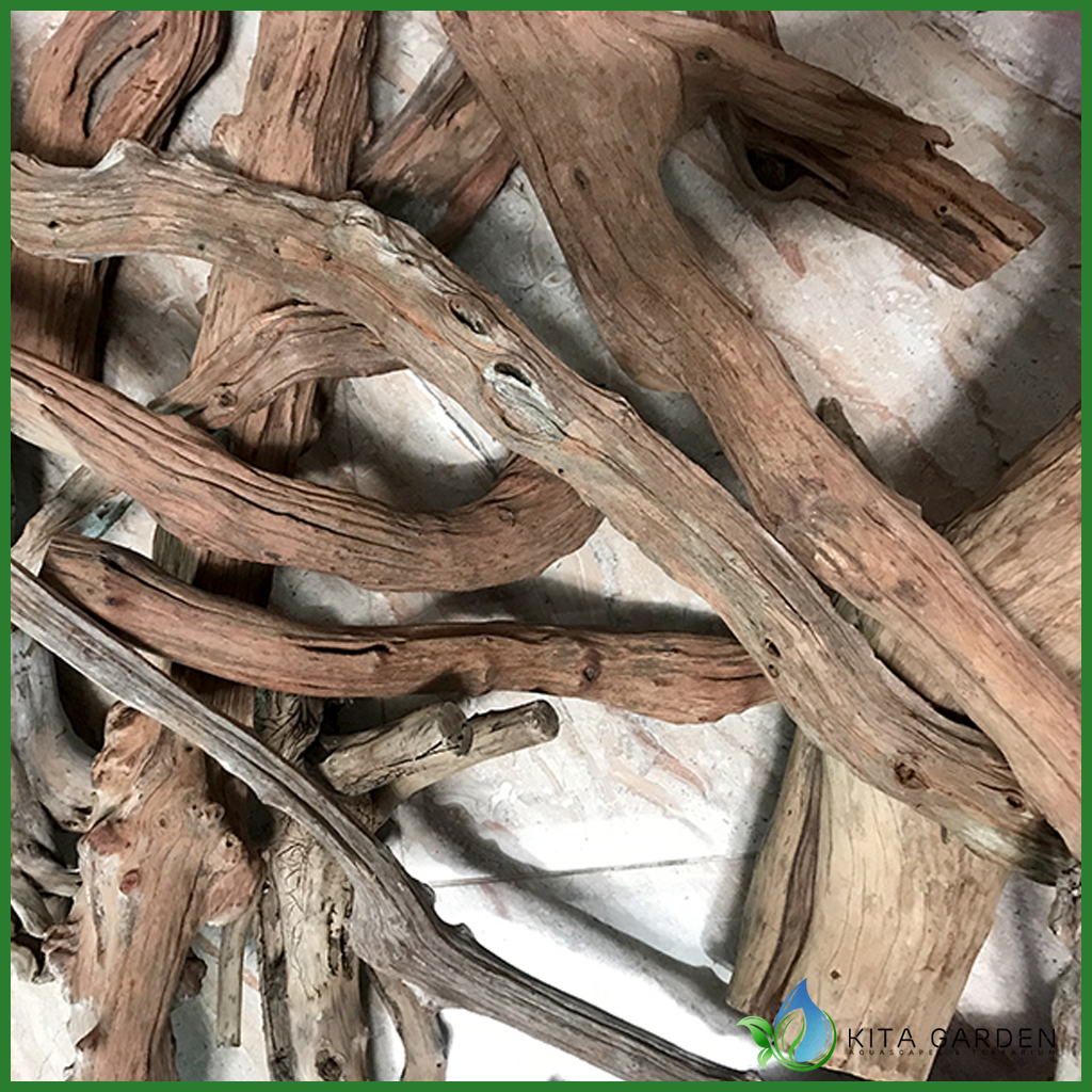 Lũa San Đá Cành (1KG) | Trang trí Thủy Sinh | Size To - Nhỏ