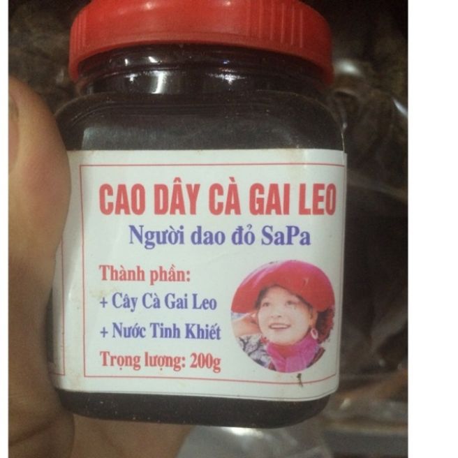 Sỉ toàn quốc 200g cao dây cà gai leo