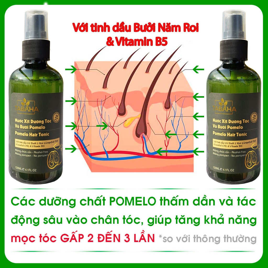 Liệu trình 1 tháng 2 chai Tinh dầu bưởi xịt mọc tóc TABAHA Pomelo (120mlx 2) giúp giảm rụng tóc, kích mọc tóc con dày và dài hơn gấp 2-3 lần