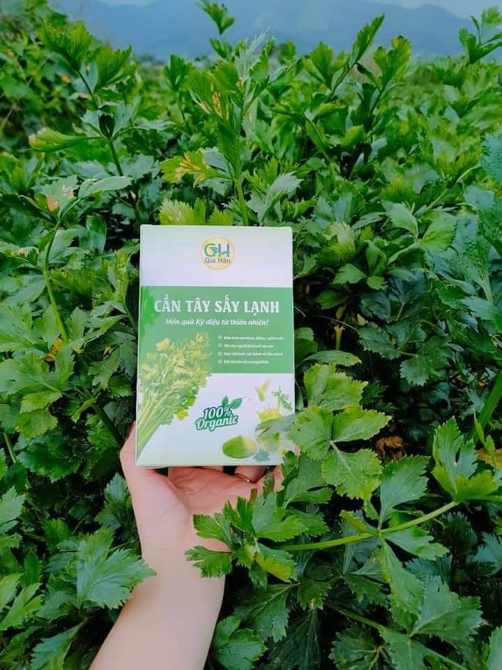 Bột Cần Tây 250 Gram