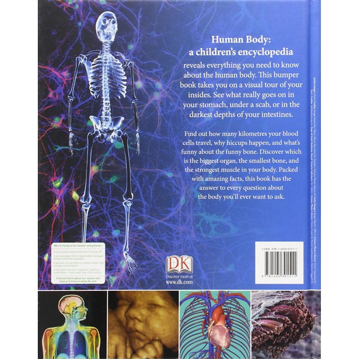 Human Body A Children’s Encyclopedia