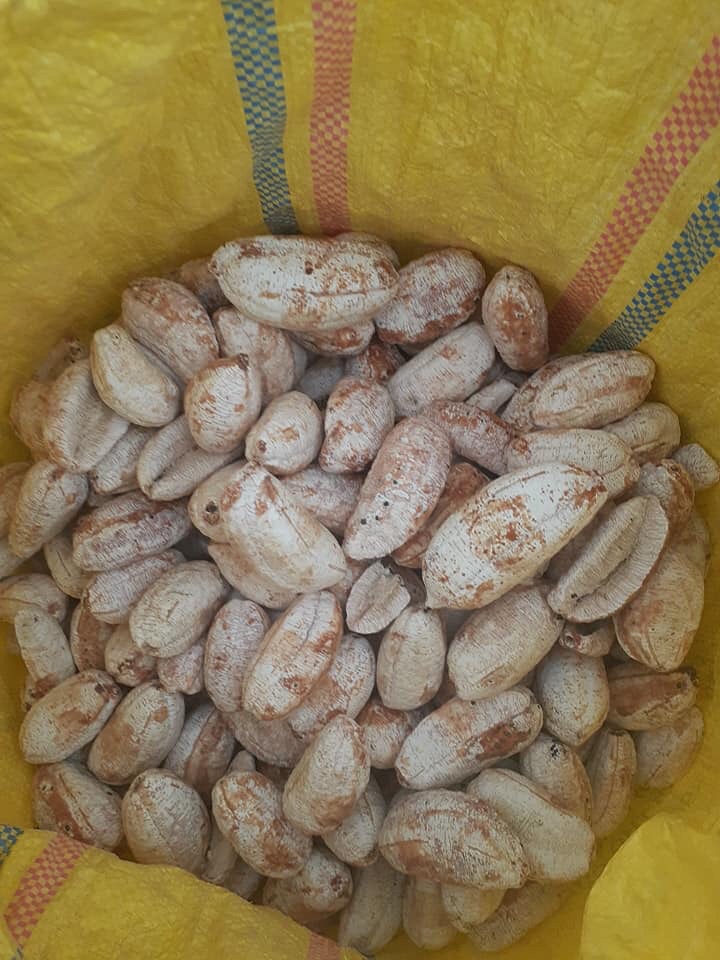 Chuối hột rừng chín bóc vỏ khô