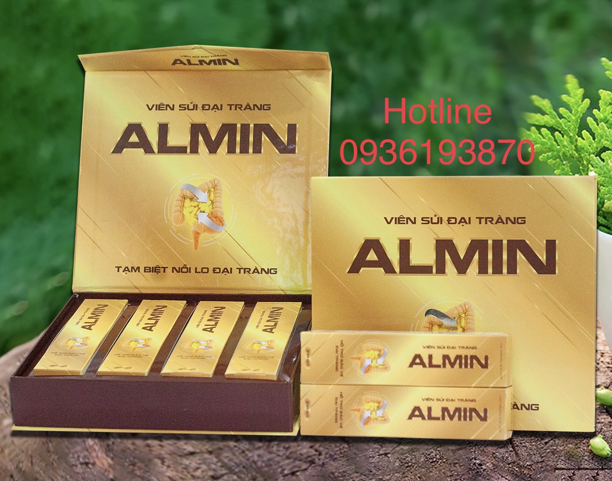 ĐẠI TRÀNG ALMIN